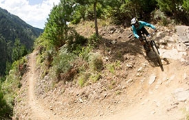 Wairoa Gorge Mountain Bike Track